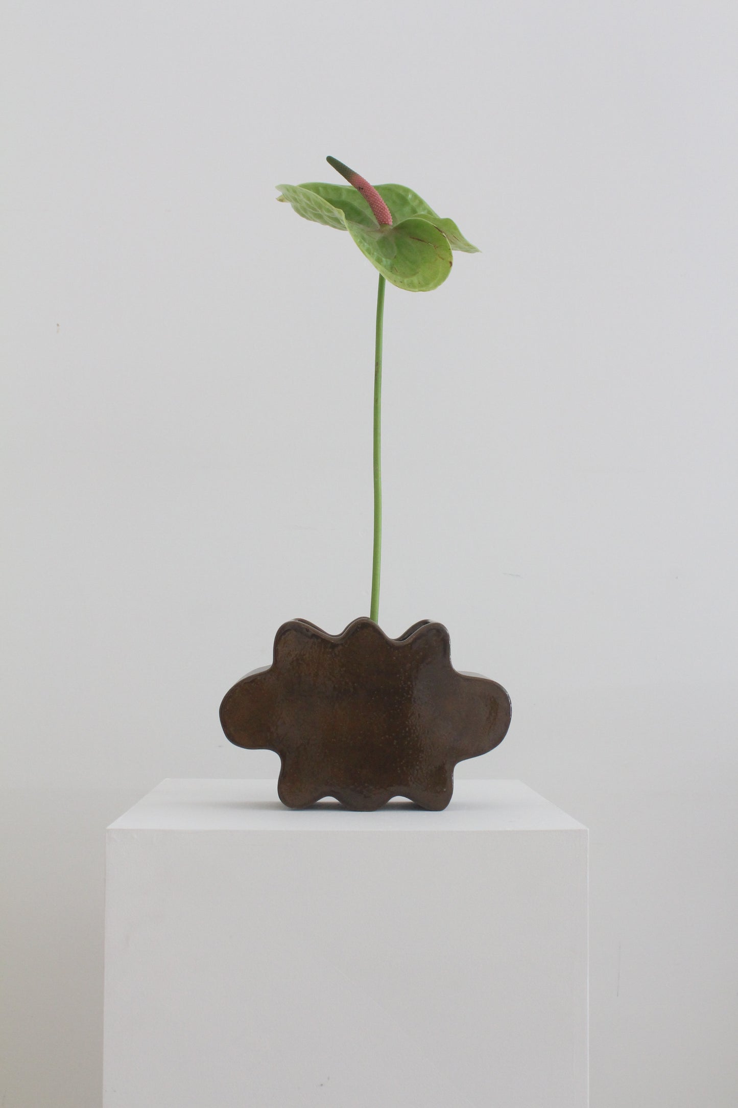Flower Pal Vessel - Caramelised Brown