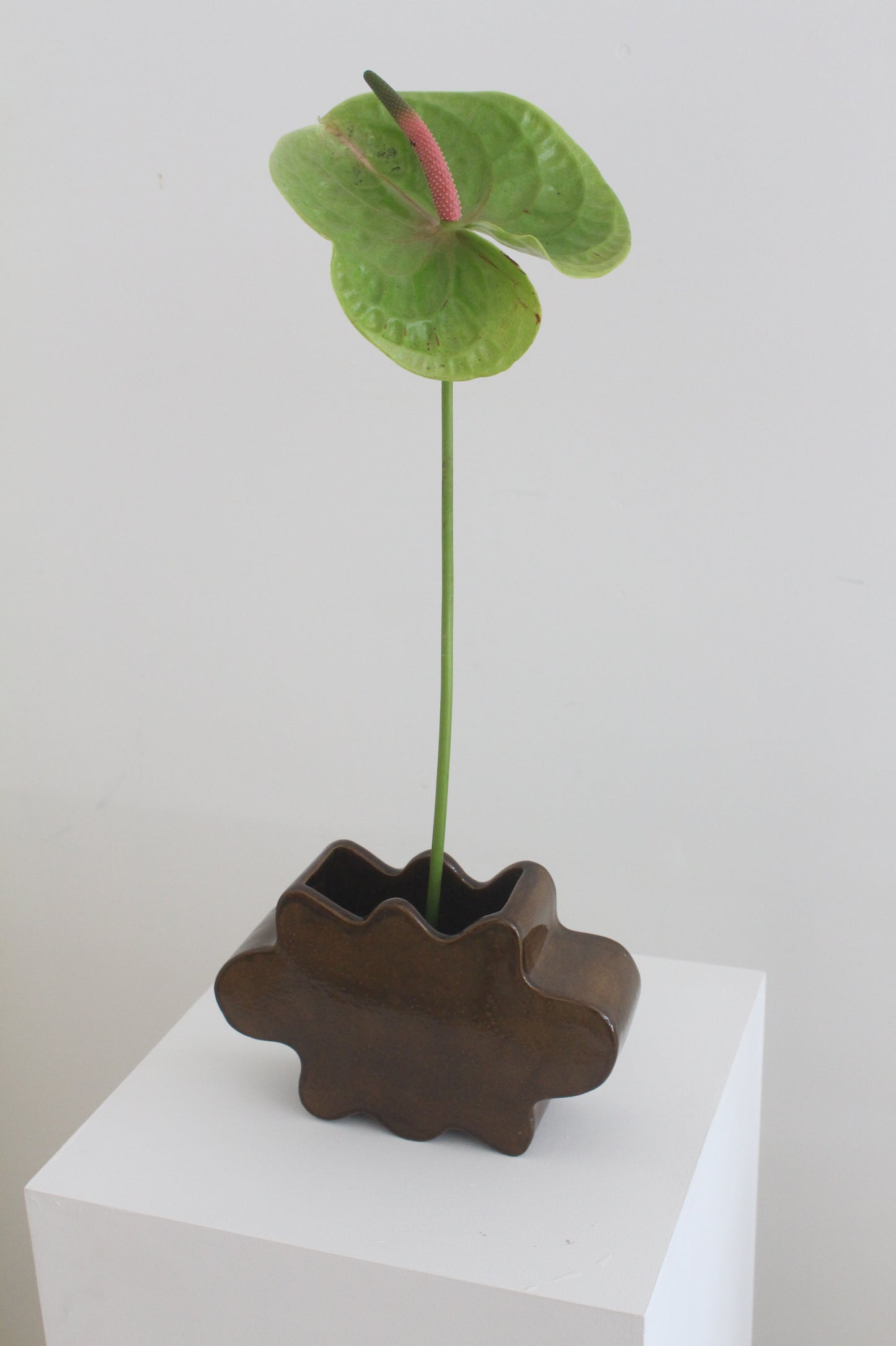 Flower Pal Vessel - Caramelised Brown