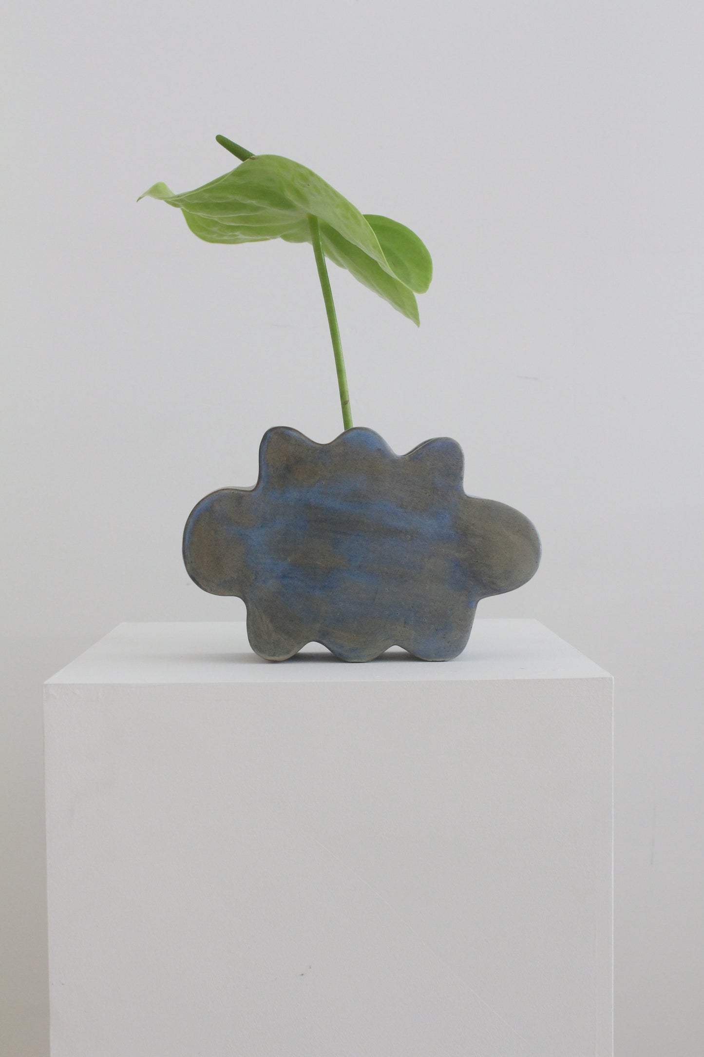 Flower Pal Vessel - Yearbook Blue