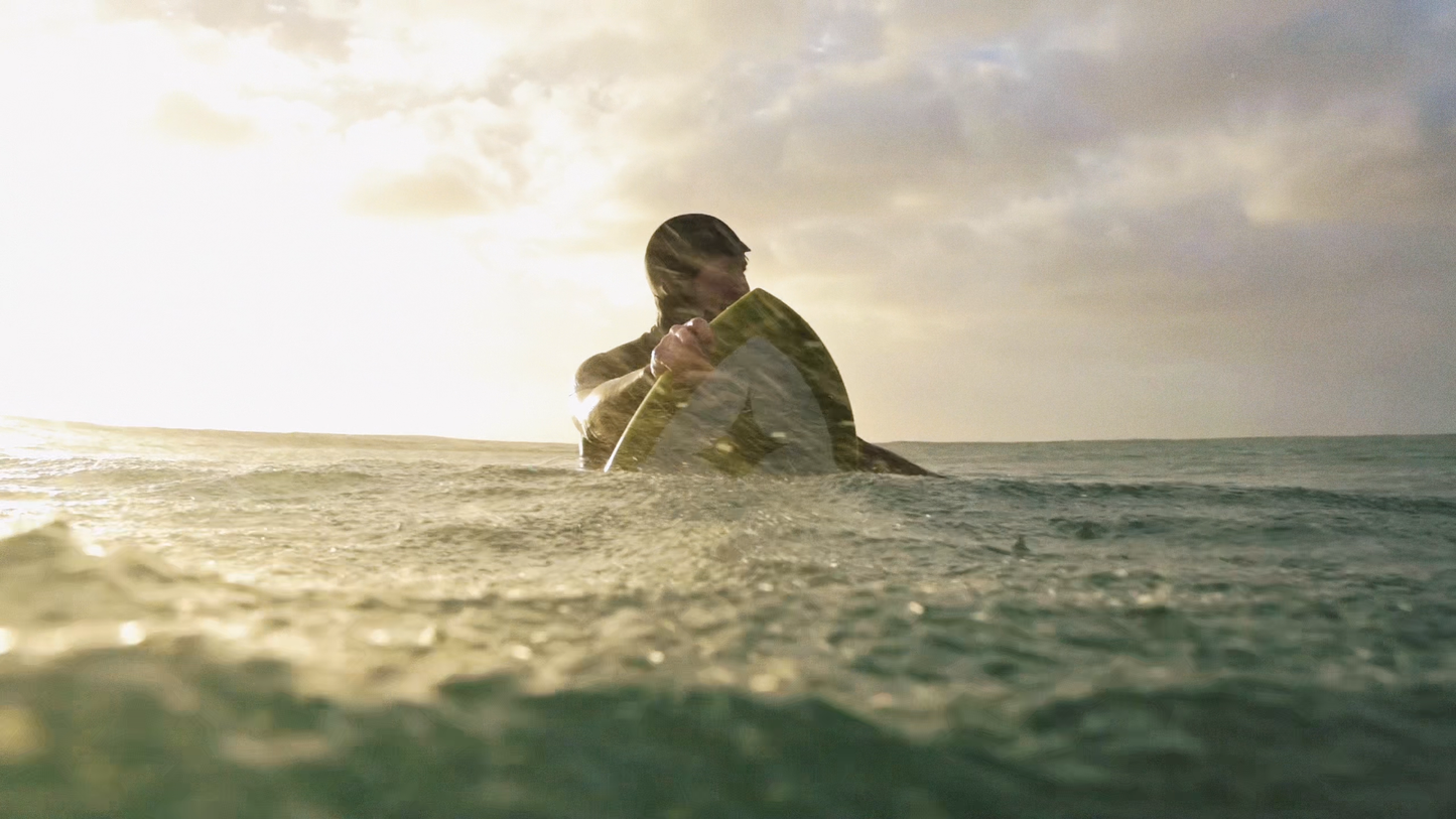 Pal Goods × Destroyer