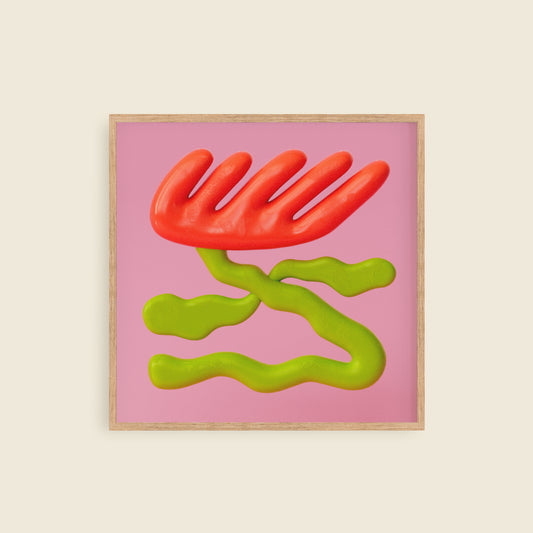 Protea (841 × 841 mm, Edition of 10)