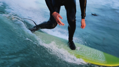 Pal Goods × Destroyer